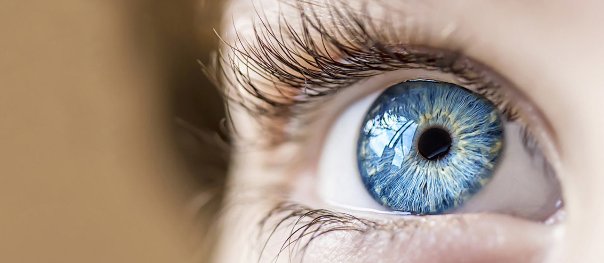 Il costo di un trapianto di cornea dipende dal tipo di tecnica chirurgica scelta.